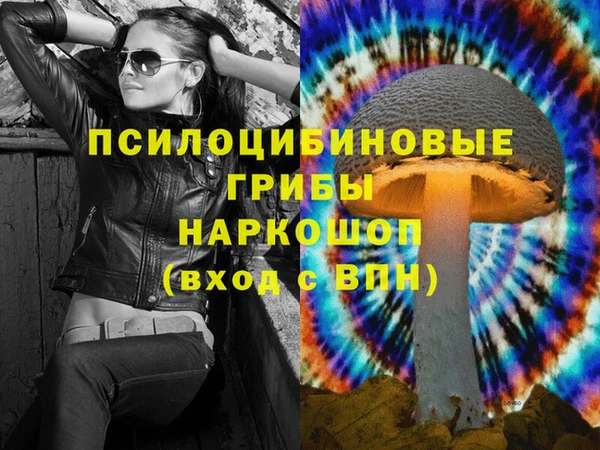 jwh Гусь-Хрустальный