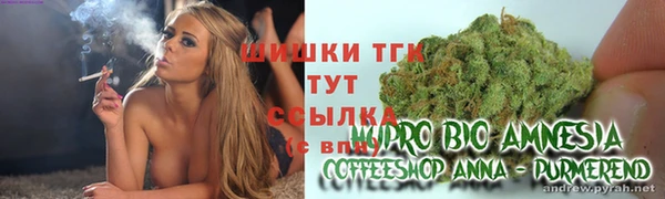 винт Гусиноозёрск