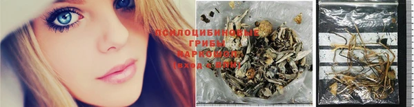 винт Гусиноозёрск