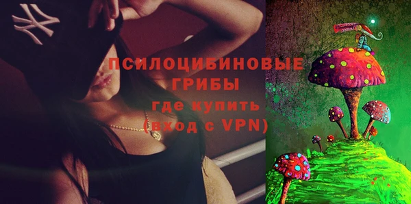 винт Гусиноозёрск