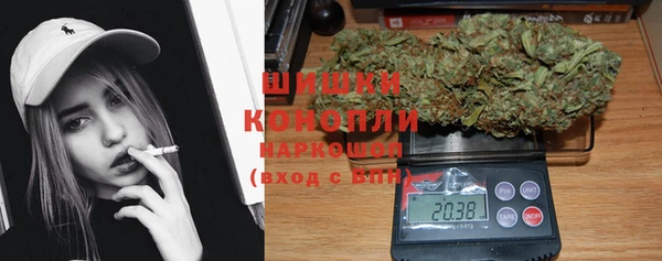 винт Гусиноозёрск