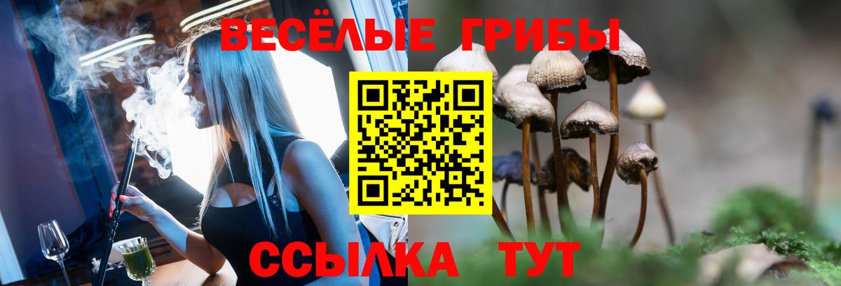 Всеволожск  Псилоцибиновые грибы Magic Shrooms  Вход с VPN 